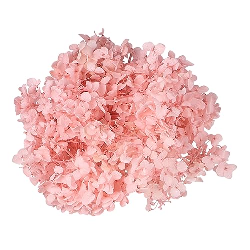 Pétalos secos naturales de hortensia rosa VICASKY