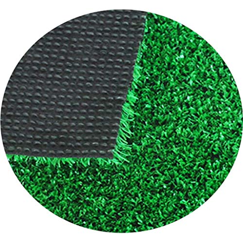 WJ Césped Artificial Hierba Alfombra sintética Paja Estera Jardín Falso Césped 7 mm Simulación Colocación de Estera Colores múltiples, tamaños múltiples (Color : T 2cm, Size : 2 * 3m)