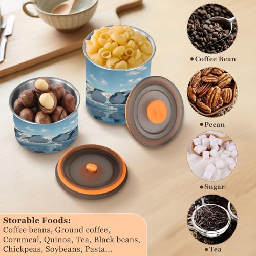 Lata Hermética de Acero Inoxidable para Café 900ml miniatura 5