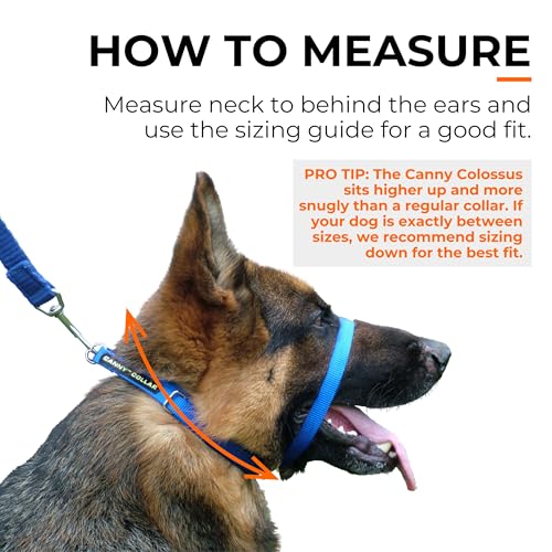 Canny Colossus Hundehalfter | Anti-Zug-Halsband für Hunde großer Rassen | Verhindert, DASS Ihr Hund an der Leine zieht | Kopfgeschirr Mit Gepolstertem Halsband | Schwarz