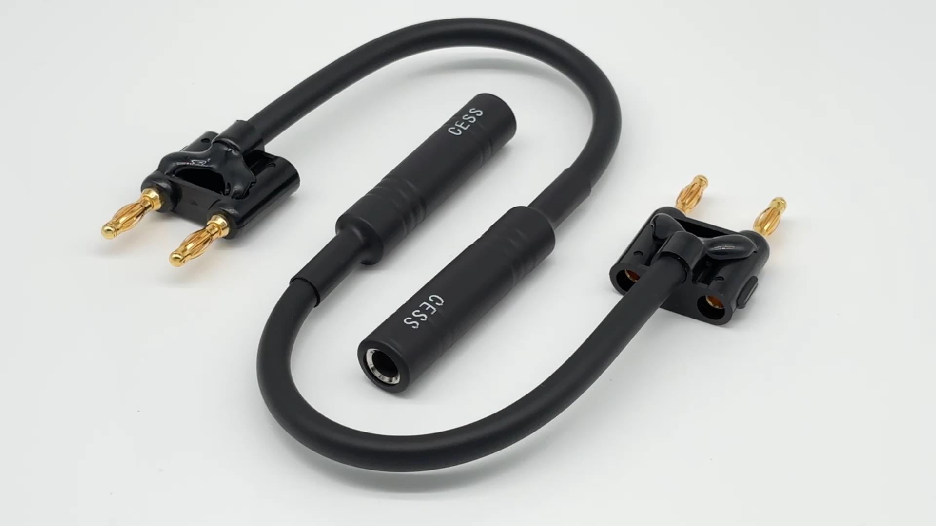Amazon.com: CNCESS CESS-081 Dual Banana Plugs to 1/4 TS Jack