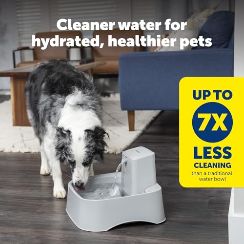 PetSafe Oasys 2 Gallon Pet Fountain — Large-Capacity Plastic Fountain for Dogs — view 2