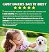 See Spot Run Lawn Protection Concentrate Refill – 128 fl oz Each – Ready-to-Mix Solution for Dog Owners – Repairs Yellow Grass Spots – Lawn Saver – Supports Healthy Soil
