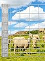 Cattle Farm Fence, 4FTx328FT Galvanized Wire Fencing 14GA Heavy Zinc Coating Wire Fencing, for Goat Deer Yard Livestock Animals Protection (4x328ft(14GA))