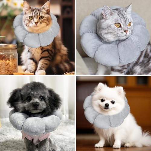 HMCEY Schutzkragen Katze,Halskrause Katzen Leckschutz,Einstellbarer Katzenkragen Nach Op,Schutzhalsband für Katzen,Hundekragen Weich,Halsband Wiederherstellung Schutzkegel für Nach Operation