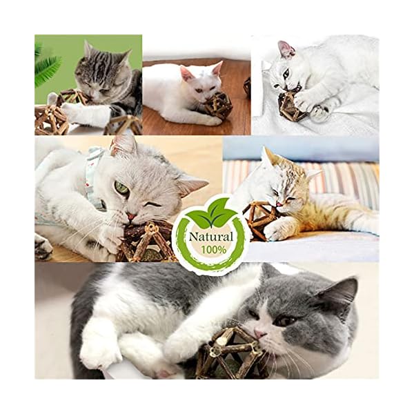 Gochanmon catnip toys-2pcs natural silvervine stick catnip ball&bell ball-cat toys for indoor cats- cleaning teeth molar tools matatabi cat chew toy-kitten toys - image 8