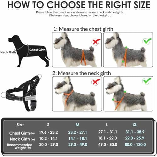 Lukovee No-Pull Dog Harness & Leash Set (Black, Large) — view 5