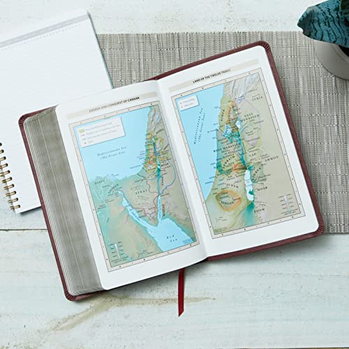 Nkjv, Thinline Reference Bible, Leathersoft, Black, Red Letter Edition, Comfort Print: Holy Bible, N