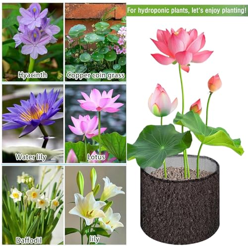 Bolsas para plantas acuáticas macetas reutilizables para estanques de malla 6