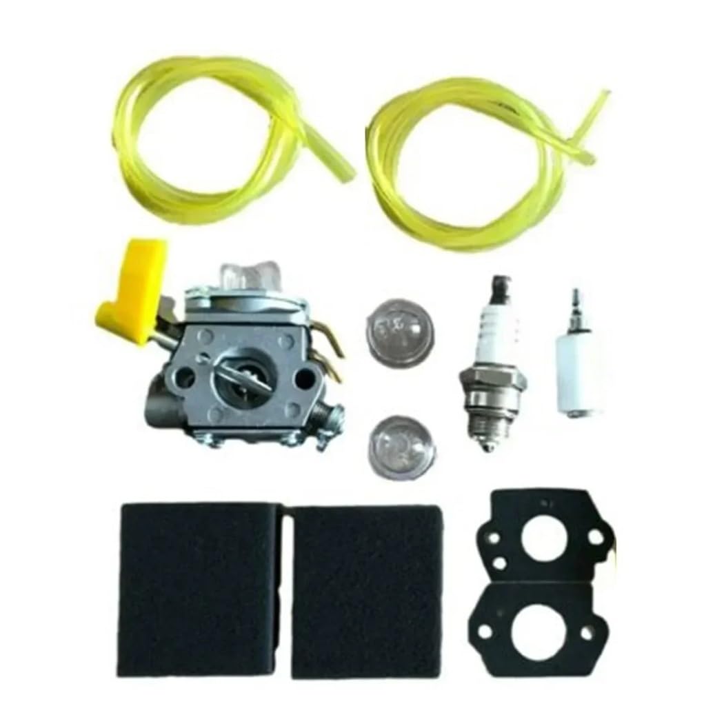 Kit carburateur 11 pièces pour moteur 30cc PLT3043YE complet