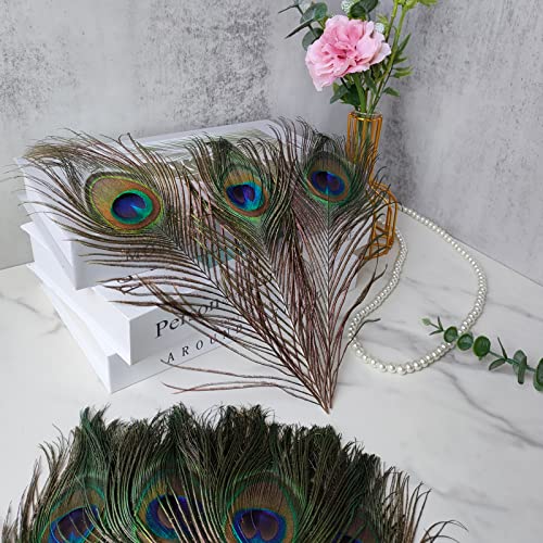 Tharaht 12Pcs Peacock Feather Natural In Bulk 10-12 Inch 25-30Cm For Craft Vase Wedding Home Party Christmas Day Decoration Peacock Feathers #TOP6