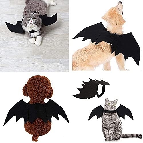 Kyhsom Halloween Pet Bat Wings, Black Cat Bat Wings Cosplay, Cute Puppy Cat Dress Up Accessories For Cats Kitten Puppy Small Medium Dogs #TOP6