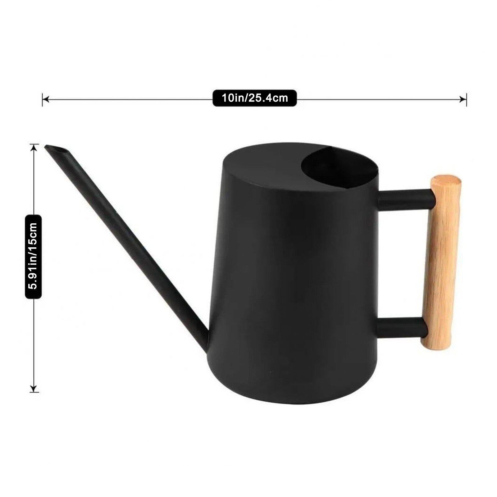 Arrosoir en Acier Inoxydable Petit Arrosoir D'intérieur avec Bec Long Arrosoir Décoratif Moderne pour Jardin De Bonsaïs Succulents