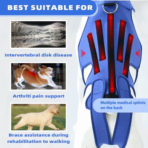 Image of Dog Back Brace for Dogs Arthritis, Dog Intervertebral Disc Protective, Dog Back Protective Brace Helps Pain Relief, Facilitate Surgical Recovery, Prevent Back Diseases in Dogs. (L)