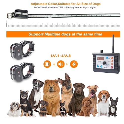 JUSTPET Dog Collar in Action