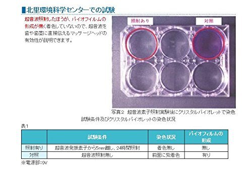 スマイルエックス AU-300D替歯ブラシ2パック付 の商品画像 4