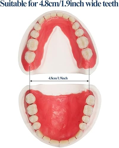 Miniatura 5 de Juego completo de dientes falsos superiores e inferiores para mejorar la sonrisa (modelo de yeso, material de encías y dientes falsos)