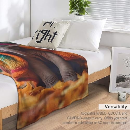 Couverture éléphant 3D plaid chaud pour des nuits douces - 7
