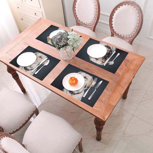 Set de table labrador lavable pour embellir vos déjeuners en terrasse
