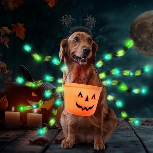 Disfraz de araña LED para perro mediano y grande Halloween miniatura 6