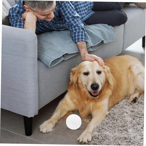 Outil de formation pour chiens pour stimuler l'instinct de recherche - 5