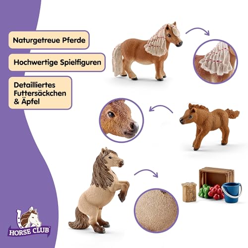 schleich HORSE CLUB | Mini Shetty Familie 41432 | ab 5 Jahren | 9 Teile – Ansicht 3