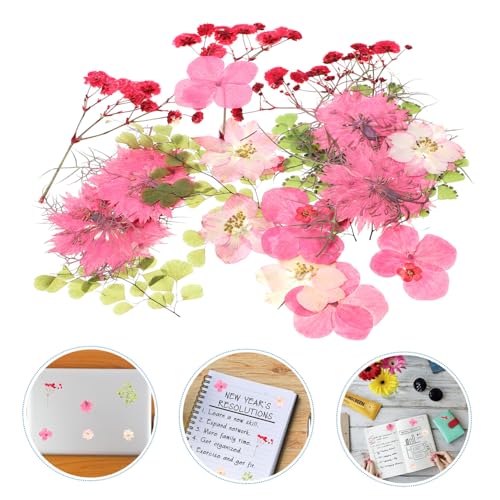 30 piezas flores prensadas secas para manualidades miniatura 7