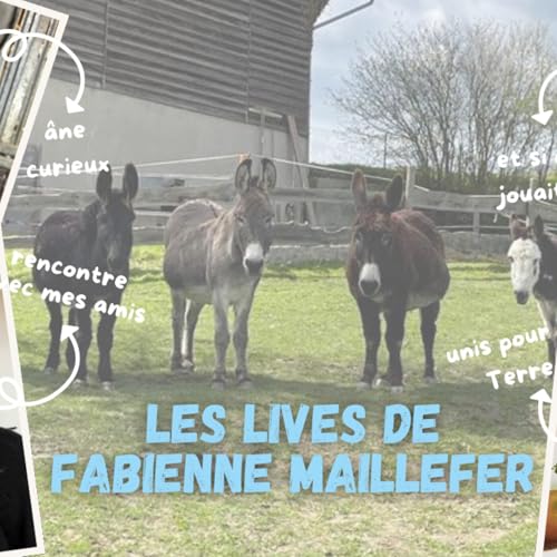 Live du 20 Octobre 2024