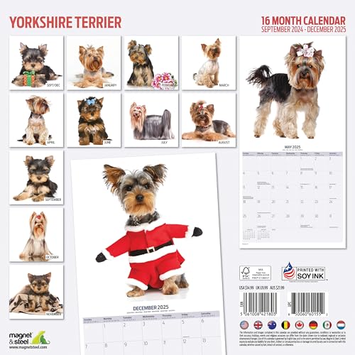 Yorkshire Terrier 2025 Modern Calendar, Various - Image 2