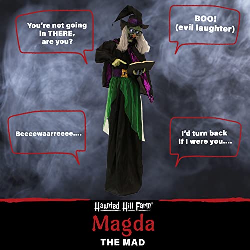 Haunted Hill Farm Life-Size Scary Talking Witch Holding Spell Book, Halloween Animatronic with Touch Activated Lights and Sound, Battery Operated Indoor or Covered Outdoor Halloween Decorations