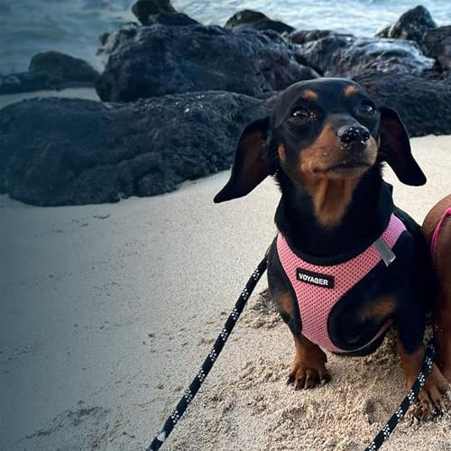Image of Voyager Step-in Air Dog Vest Harness - Pink /Black Trim, Large | 18- 20.5 inch in Chest, Reflective Bands, All Weather Breathable Air Mesh, Cats Compatible, Lightweight, Fast Drying