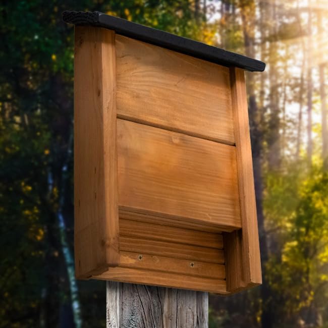 Woodlink Wooden Bat Shelters with Black Roofs – Pack of 2 Outdoor Bat Houses – Natural Pest Control Bat Roosting Boxes for Backyard