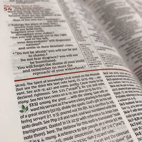 Image of NIV Study Bible, Fully Revised Edition (Study Deeply. Believe Wholeheartedly.), Hardcover, Red Letter, Comfort Print