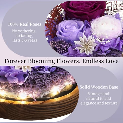 Emibele Mother's Day Eternal Rose Gifts for Mom, Preserved Real Rose in Glass Dome with LED Light for Decoration, Flowers for Delivery Prime, Gifts for Women Wife Her on Birthday Anniversary, Purple - Afbeelding 3