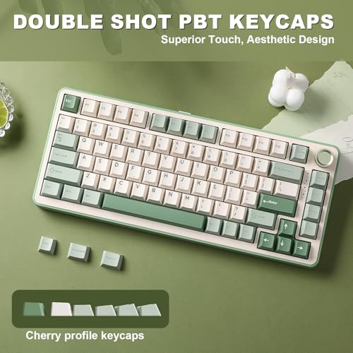 Amazon.co.jp: YUNZII メカニカルキーボード: Bシリーズキーボード