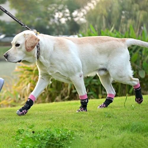 KOOLTAIL Meias para cães para pavimento quente/frio para evitar lamber patas, botas de cachorro e pr
