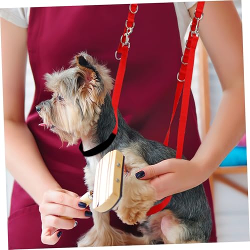 Accessoires pour chiens de toilettage avec sangles réglables robustes - 4