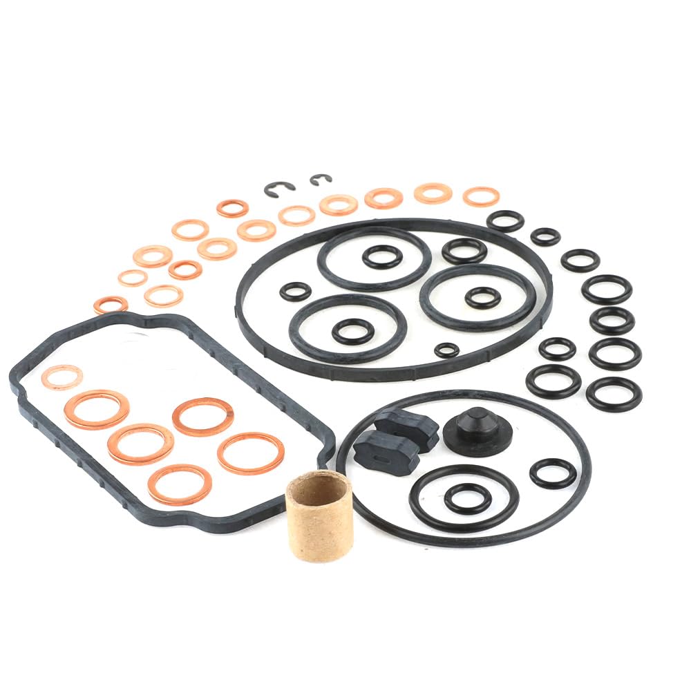 1467010467 VE Fuel Injection Pump Repair Kit, Fuel Pump Seal Gasket Rebuild Kit for Diesel Pump