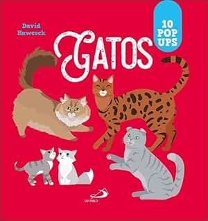 Gatos: 10 pop ups (Aprender, jugar y descubrir)