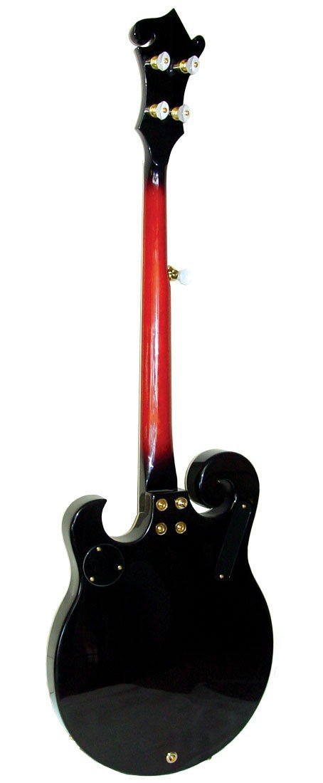 5弦バンジョー ハードケース付き 5弦バンジョー 単板リム ハードケースセット : おかげ様で創業