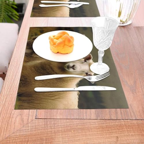 Sets de table faciles à nettoyer - Dites adieu aux taches sur votre table