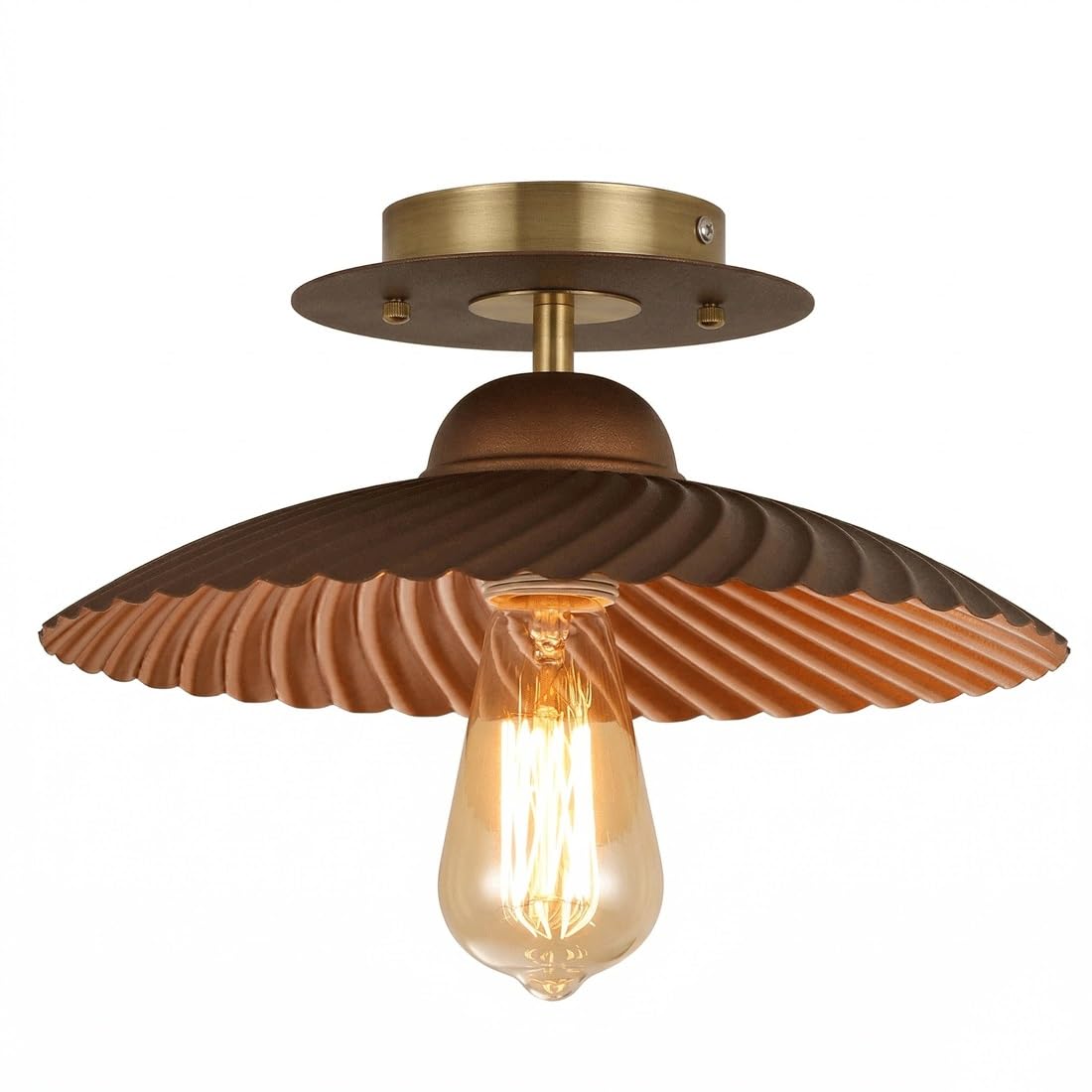 IvyLoutish Retro Vintage Petal Ceiling Light, Industrial Elite Painted Iron Lampshade, Sophisticated Finish Frame, Flush Mount Plafond for Entryway, Hallway, Foyer, Porch, Art Decor