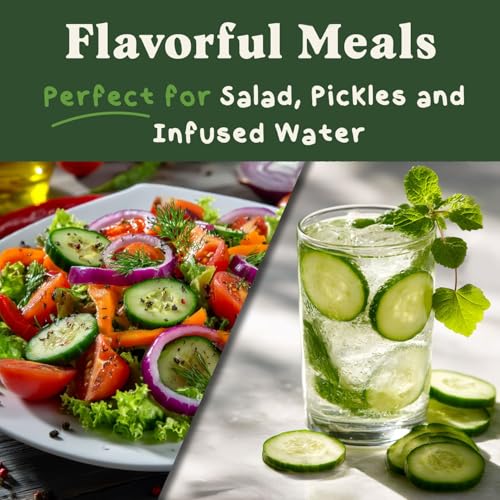 image for Seedboy Organic Cucumber Seeds for Planting Indoor and Outdoor, Non-GM