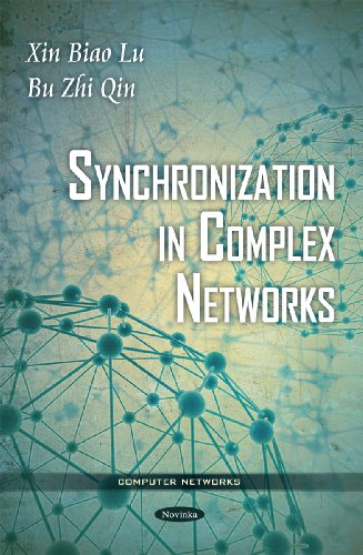 Synchronization in Complex Networks view 2