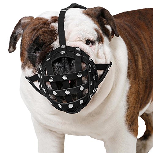 CollarDirect Leather Basket Dog Muzzle for Boxer, English American Bulldog Secure Anti-Barking Biting Chewing Adjustable Breathable (Black)