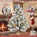 ININ 2FT Pre-lit Mini Christmas Snow Flocked Tree,Tabletop Artificial Christmas Tree with LED Lights, Small Xmas Pine Tree with Cloth Bag Base for Christmas Decor,12 Clusters Berry & 8 Pinecones