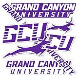 Desert Cactus Grand Canyon University Sticker Antelopes Vinyl Decals Laptop Water Bottle Car Scrapbook Sheet T2 (Type 2-2)