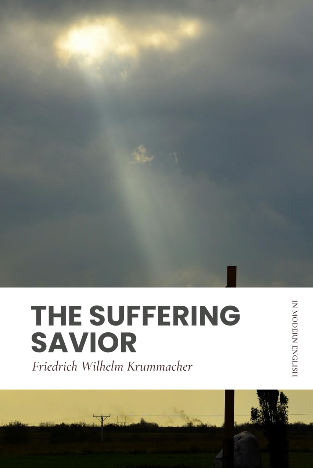 The Suffering Savior: In Modern, Updated English