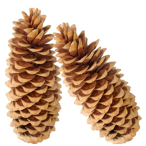 matches21 HOME & HOBBY XXL Deko-Zapfen 20-38 cm großer...