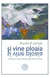 Si Vine Ploaia